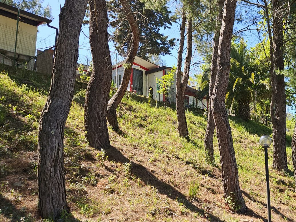 Holiday Camping Club Grande Stella