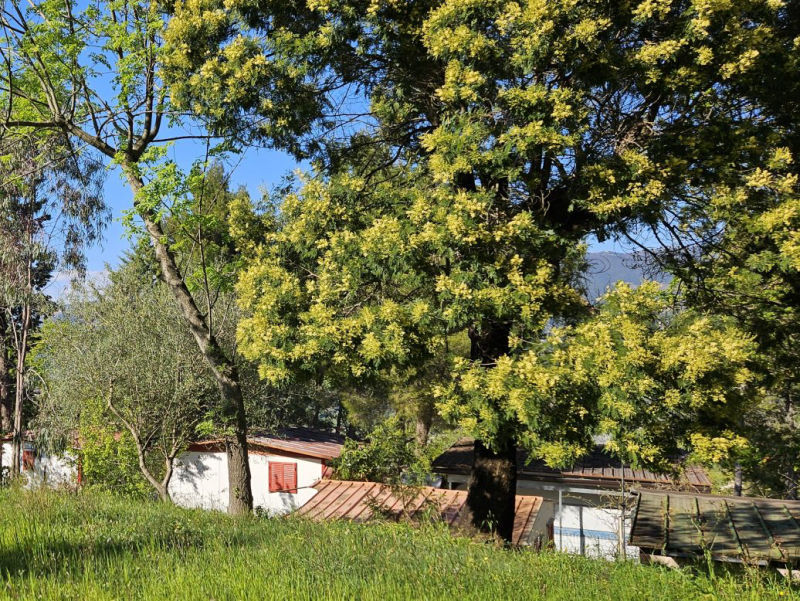 Holiday Camping Club Grande Stella