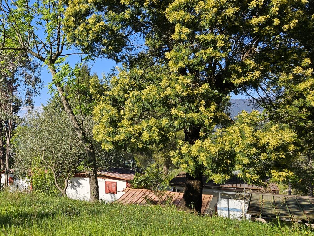Holiday Camping Club Grande Stella